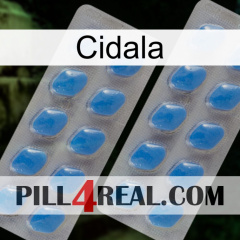 Cidala 23